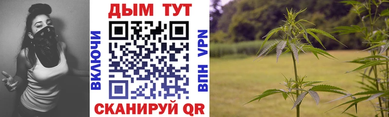 Купить закладку Канабис  Мефедрон  ГАШИШ  Славгород