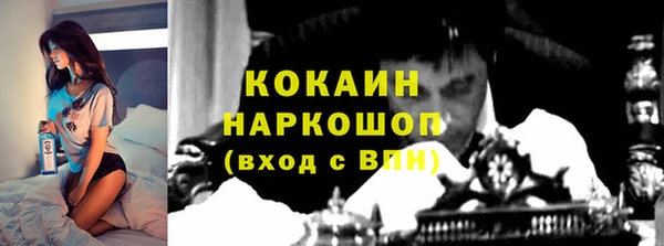 круглые Гусев