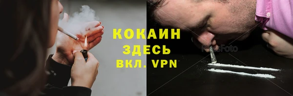 ГАЛЛЮЦИНОГЕННЫЕ ГРИБЫ Гусь-Хрустальный