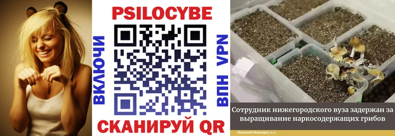 Галлюциногенные грибы Cubensis  Купить где  Славгород 
