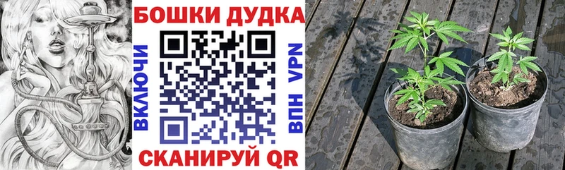 Купить где  Славгород  Бошки Шишки ГИДРОПОН 